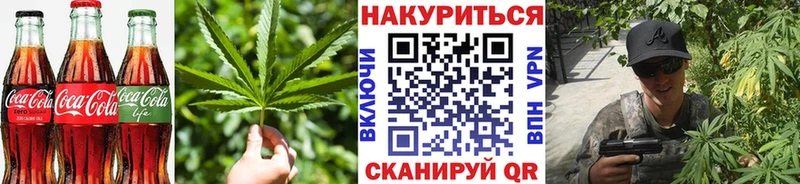 shop наркотические препараты гидра tor Сортавала наркота Cannafood марихуана