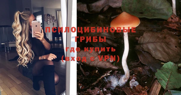 а пвп мука Алзамай