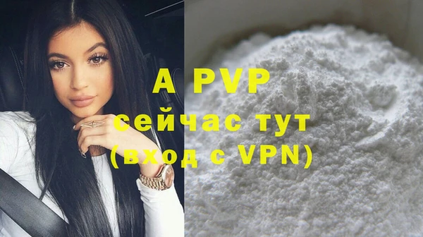 молекула духа Вязьма