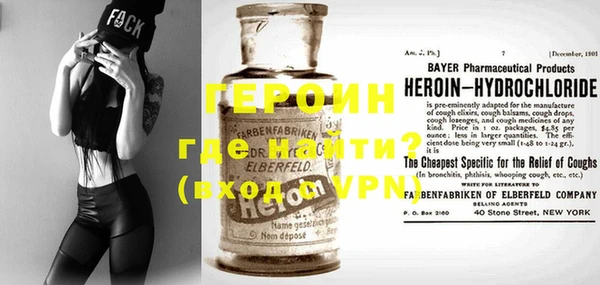 индика Ельня
