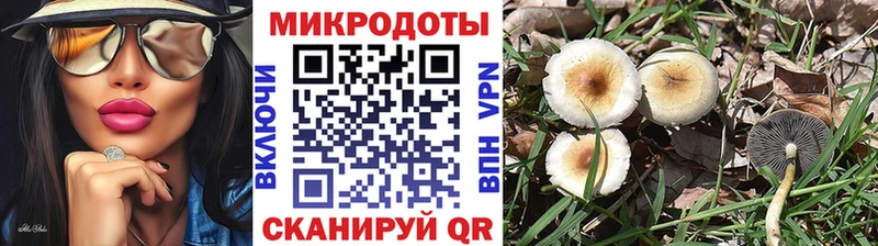 Псилоцибиновые грибы MAGIC MUSHROOMS  Сортавала 